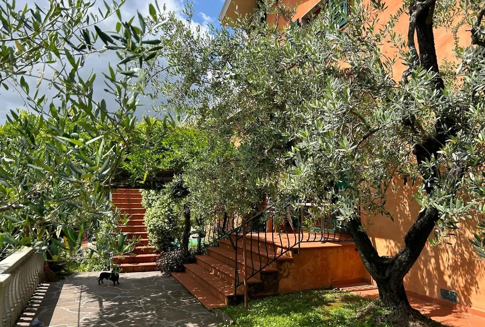 Le Quattro Stagioni Guest House Massa  0*, Massa (Tuscany) Italy